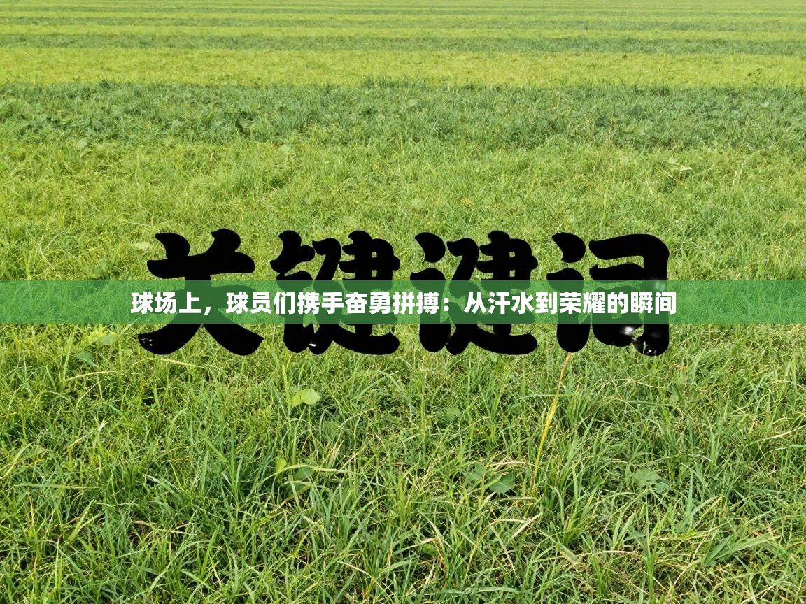 球场上，球员们携手奋勇拼搏：从汗水到荣耀的瞬间
