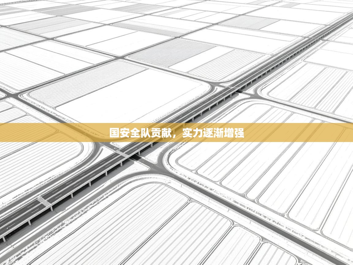 国安全队贡献,实力逐渐增强 第1张