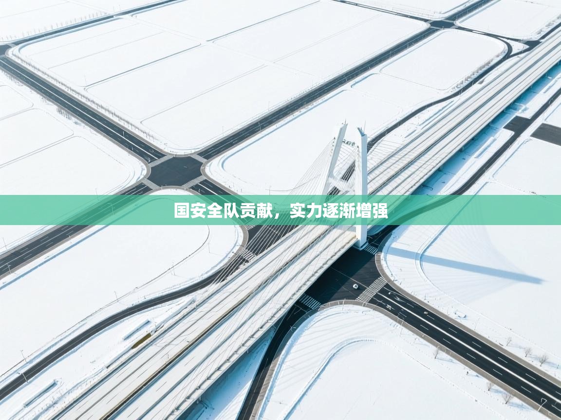 国安全队贡献,实力逐渐增强 第2张